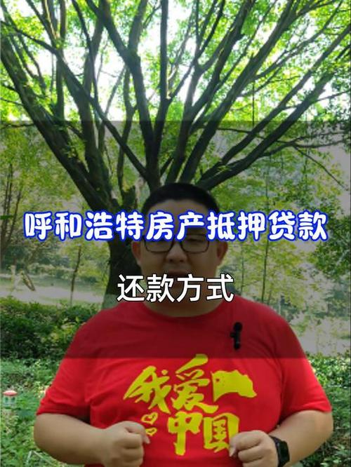 东莞房产抵押贷款的还款压力分析(东莞房产抵押贷款新规)